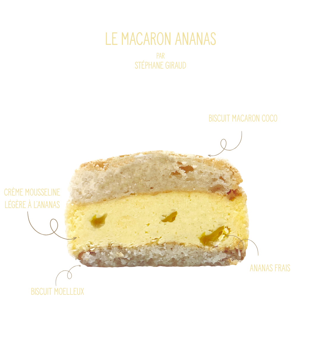 Macaron ananas